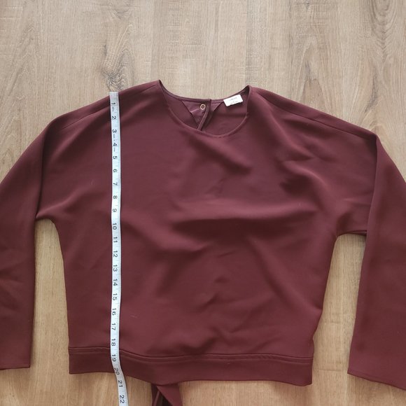 Aritzia Laon blouse, open back with tie detail - Picture 8 of 11